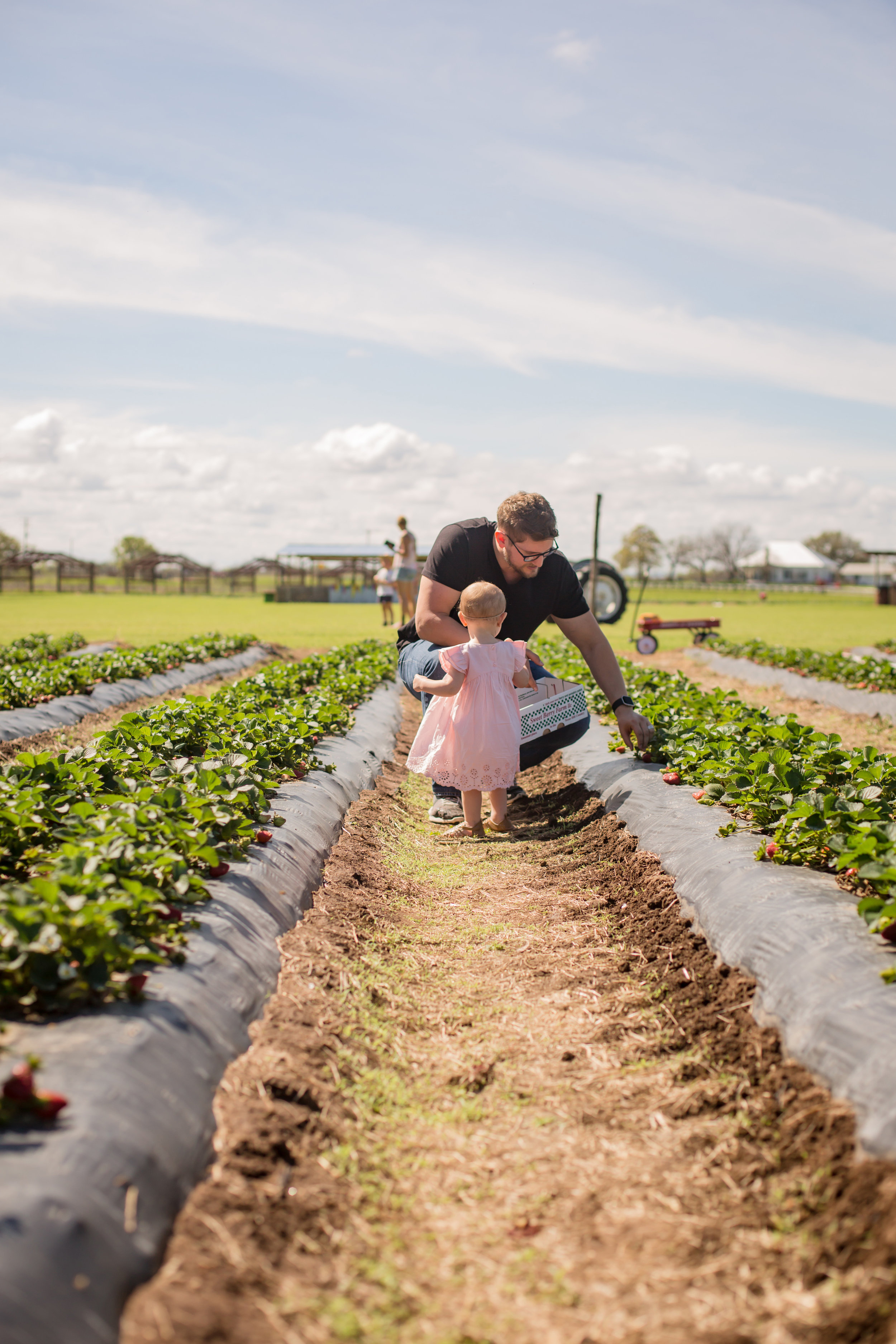 Marble_Falls_Sweetberry_Farm_07.jpg