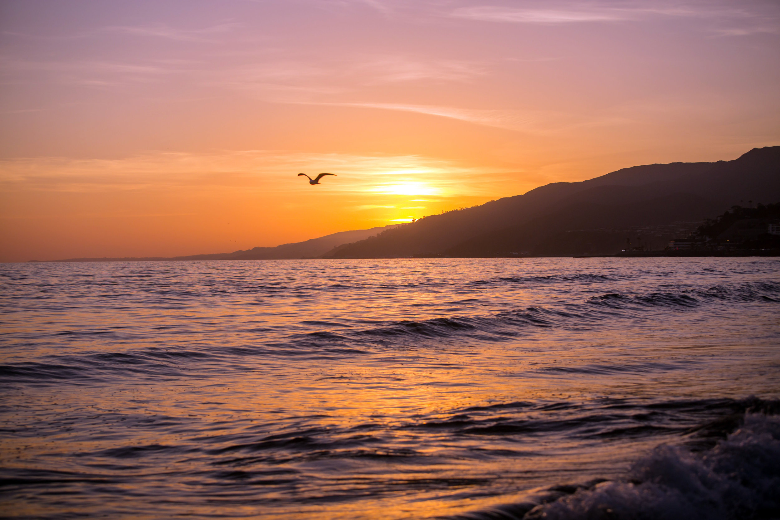 Marble_Falls_Horseshoe_Bay_Photographer_Beach_Family_Gandersons_16.jpg