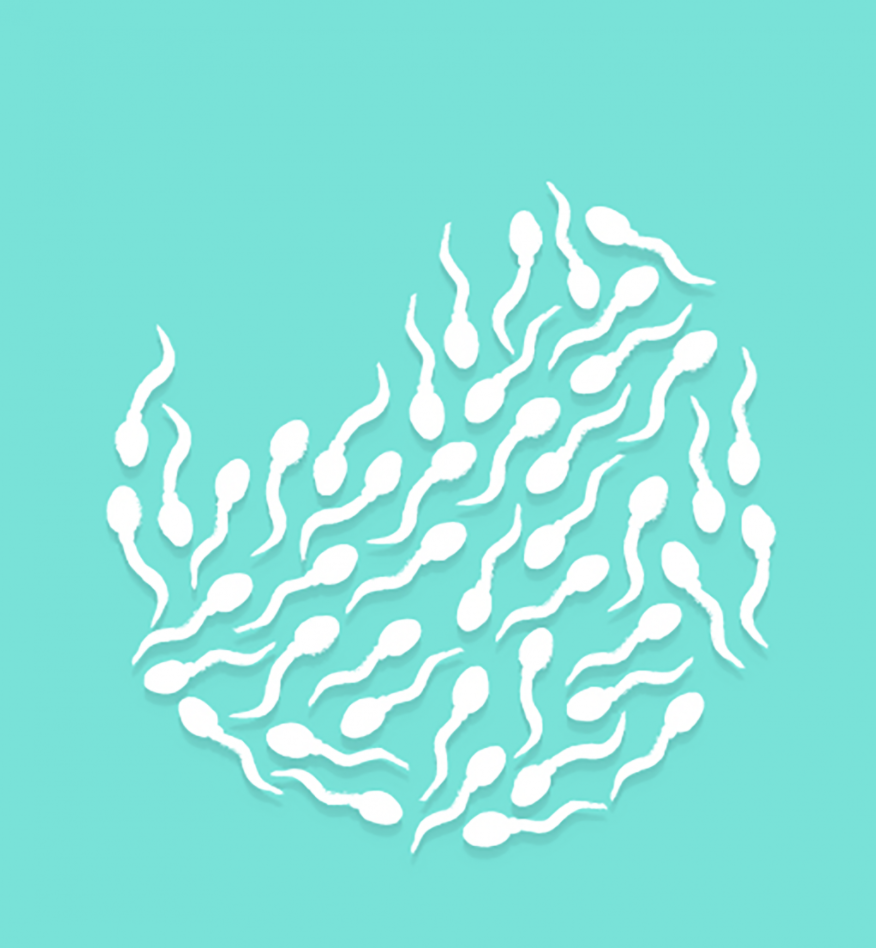 Refinery29 | What "Shopping" At A Sperm Bank Is Really Like — According To Experts