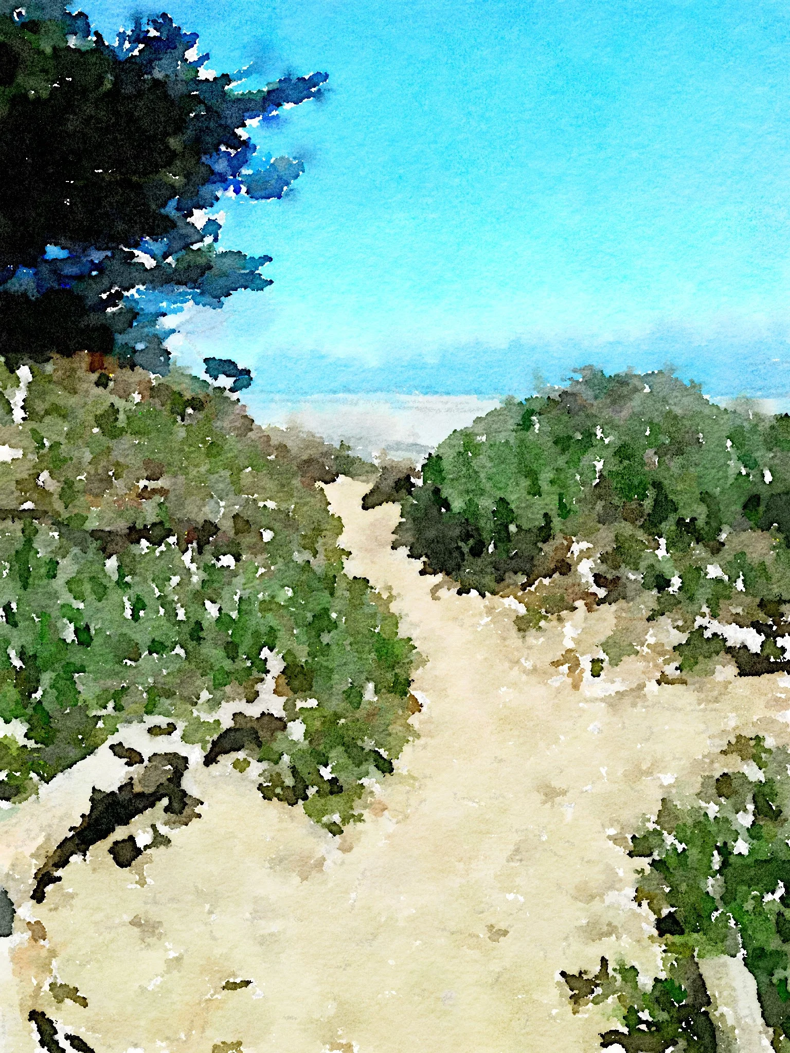 Ocean Beach, San Francisco