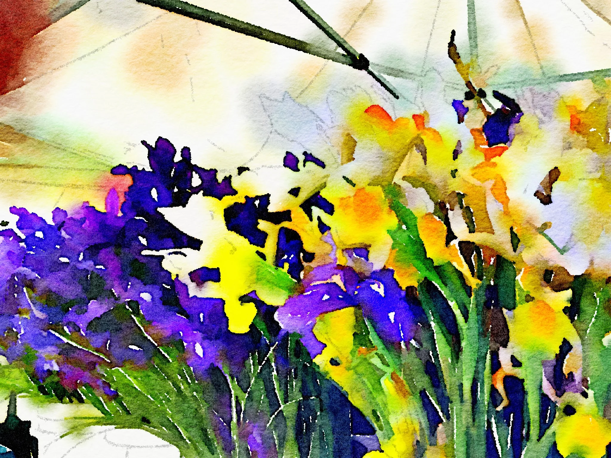 Irises