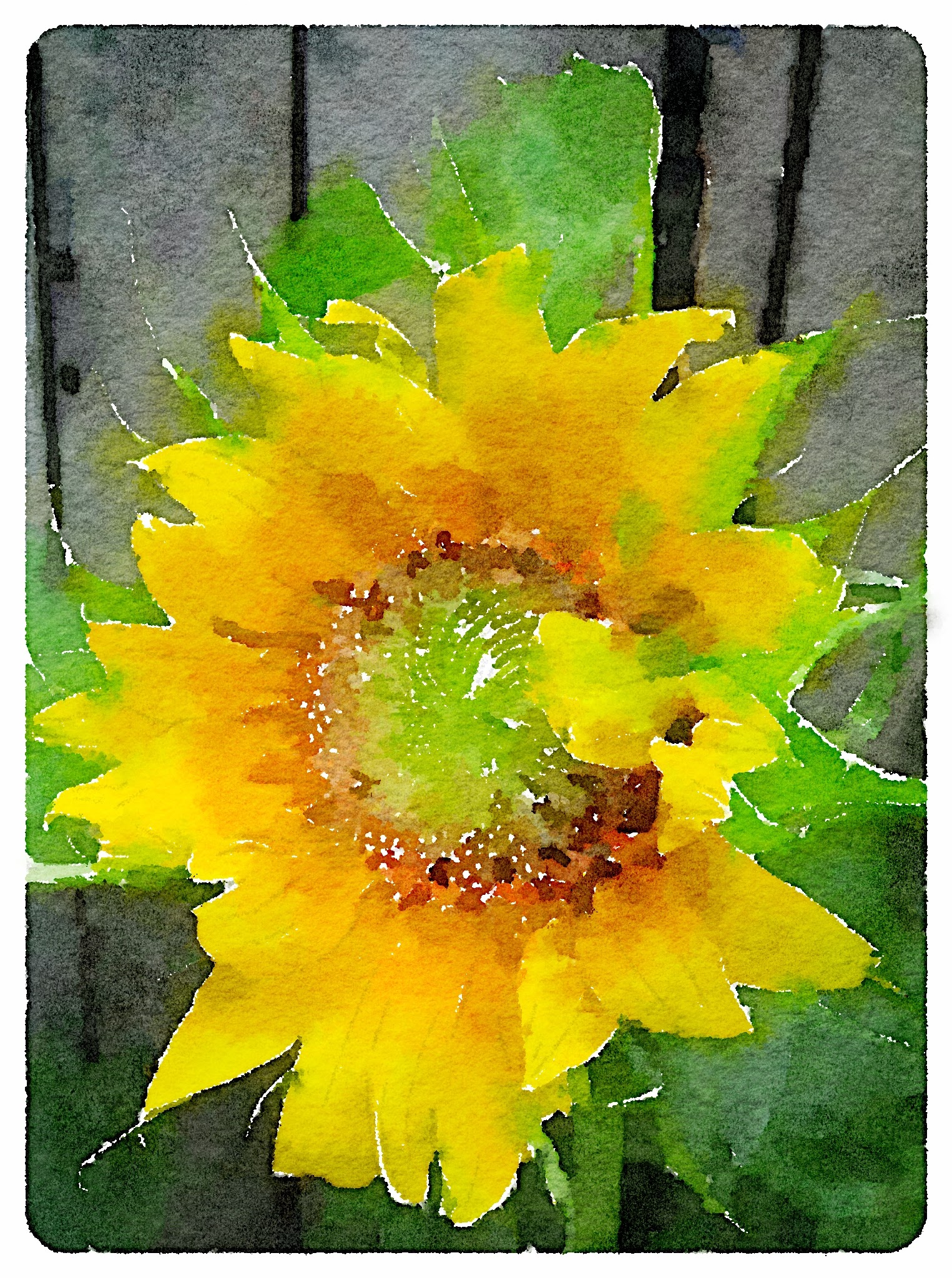 Sun Flower