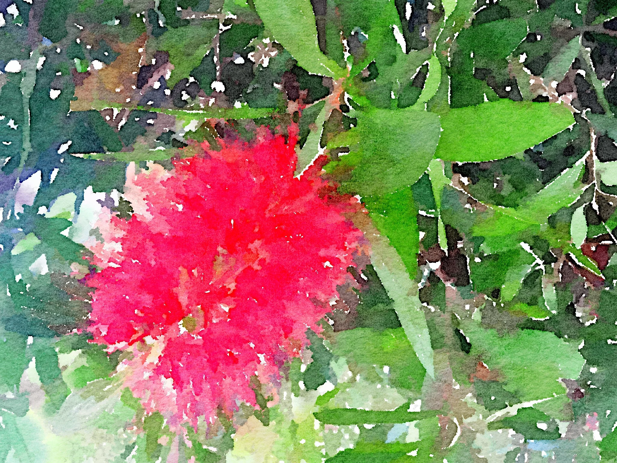Bottle Brush