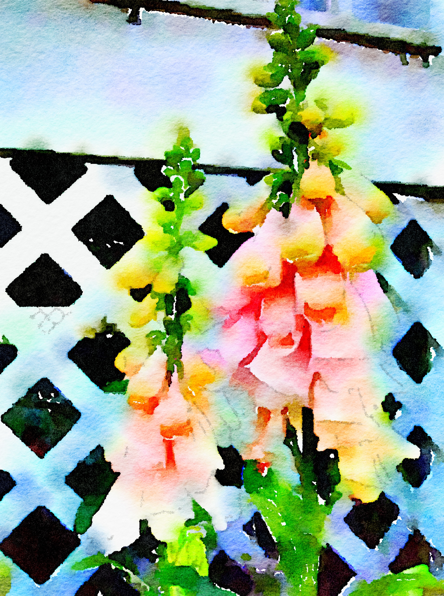 Foxglove