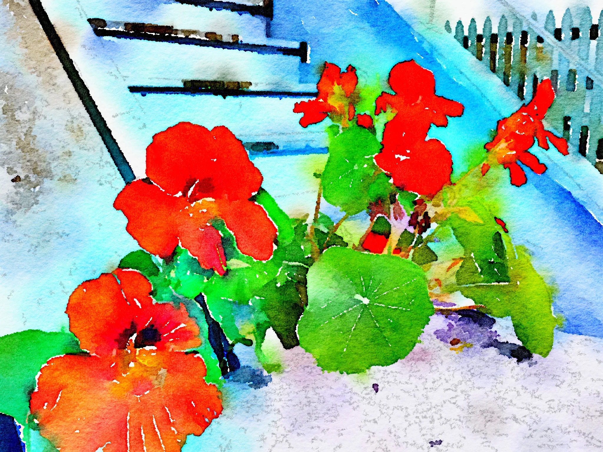  Red flowers/ Blue steps.