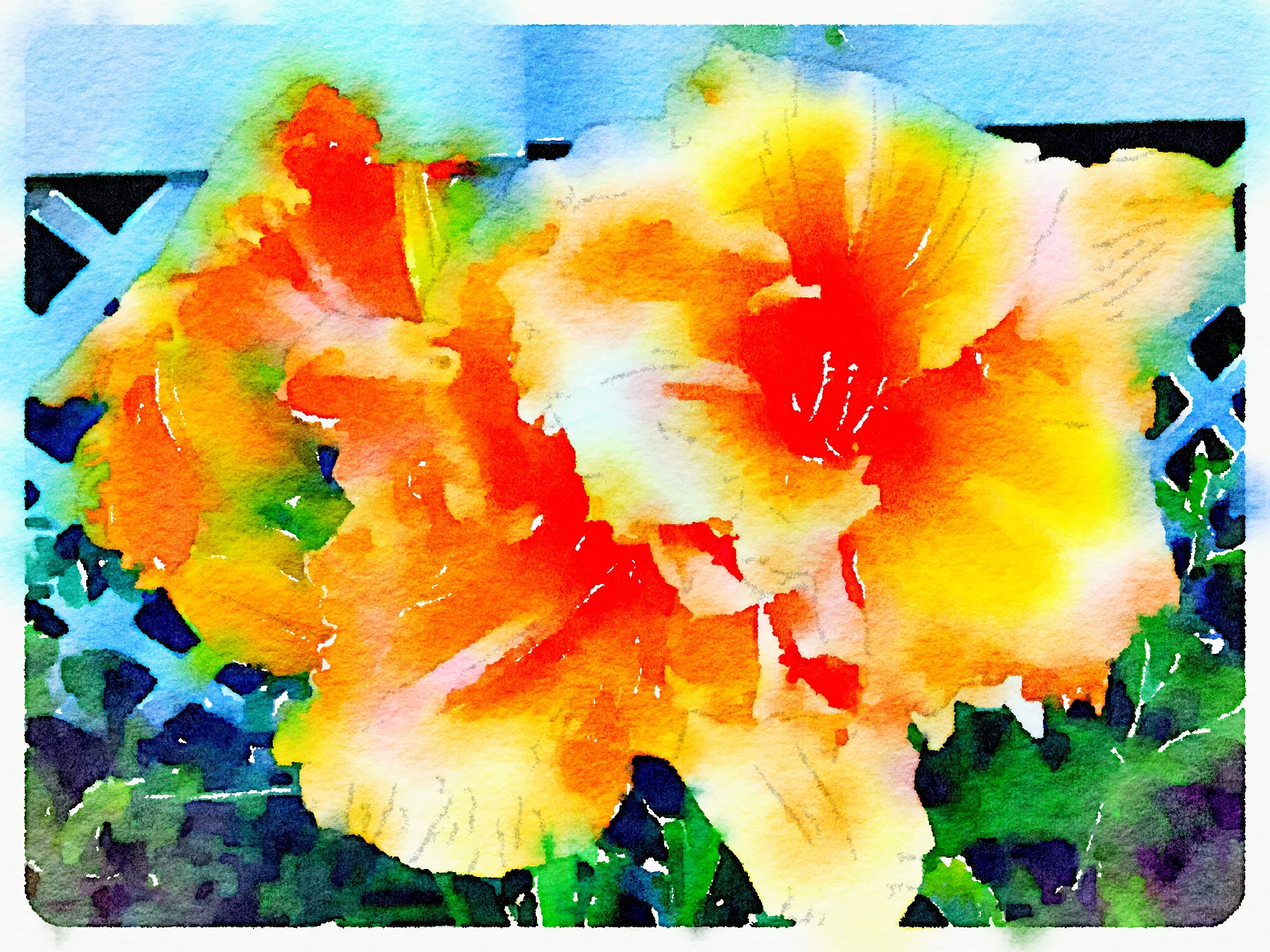 Orange Sorbet Day Lillies