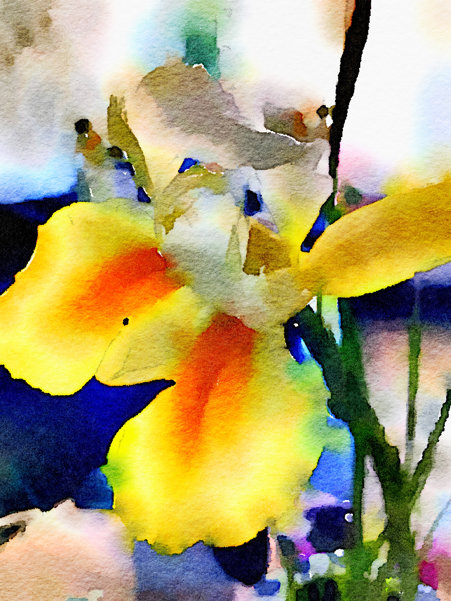 Yellow Iris 2