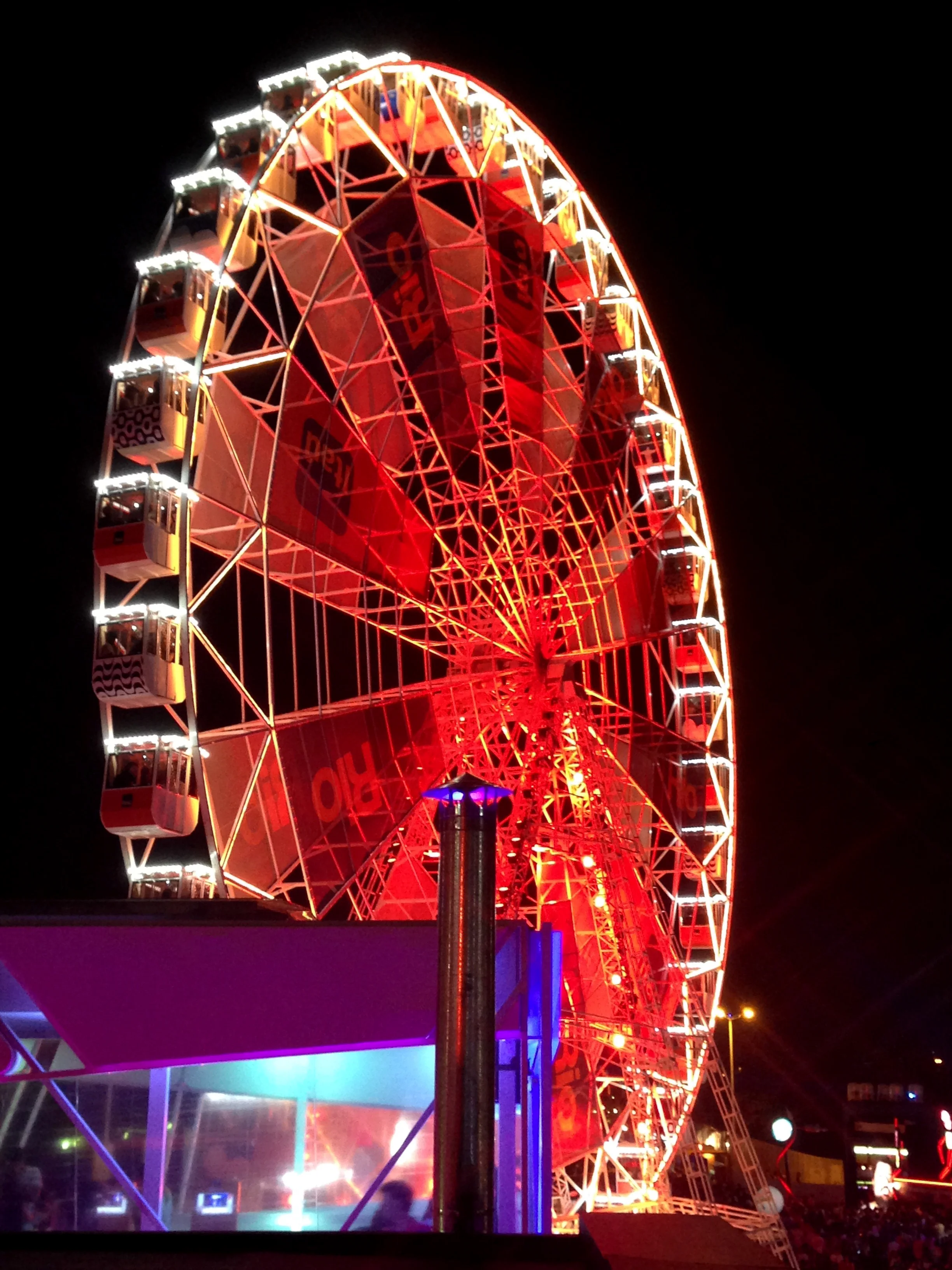 IMG_4221_2.jpg