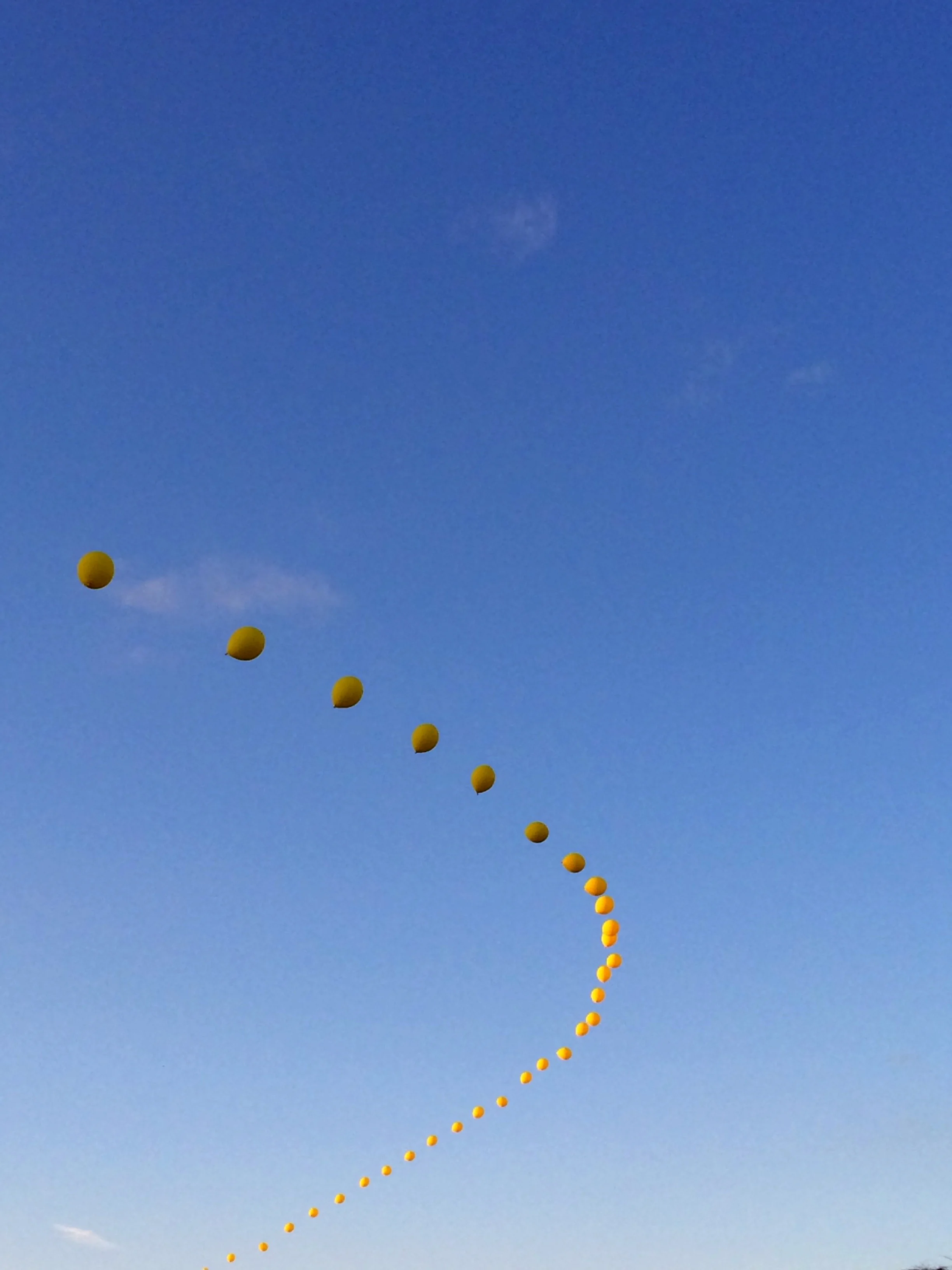 baloon.jpg