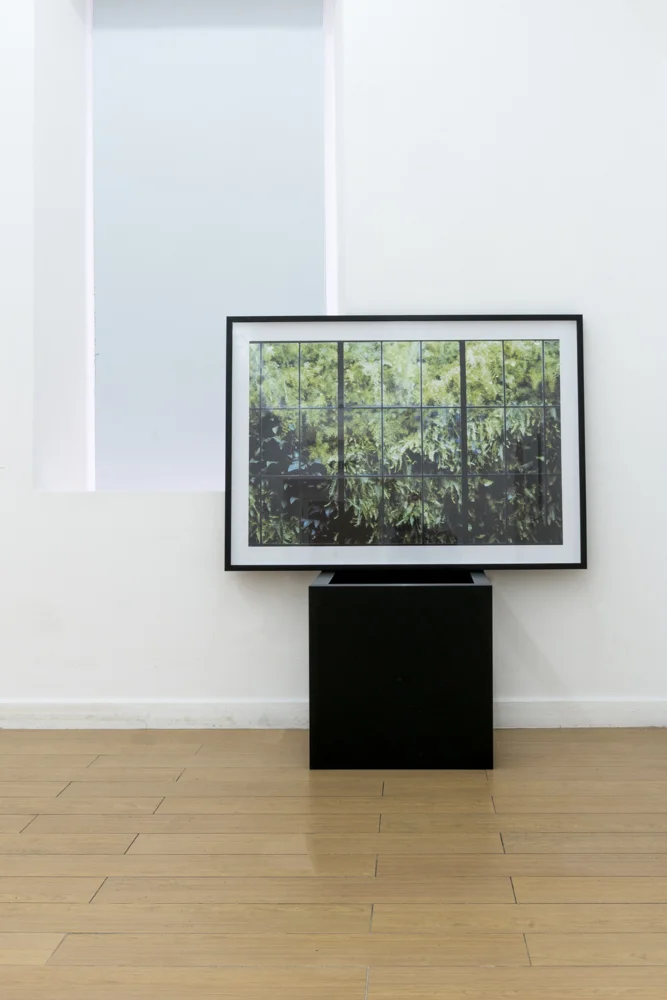 _exhibition