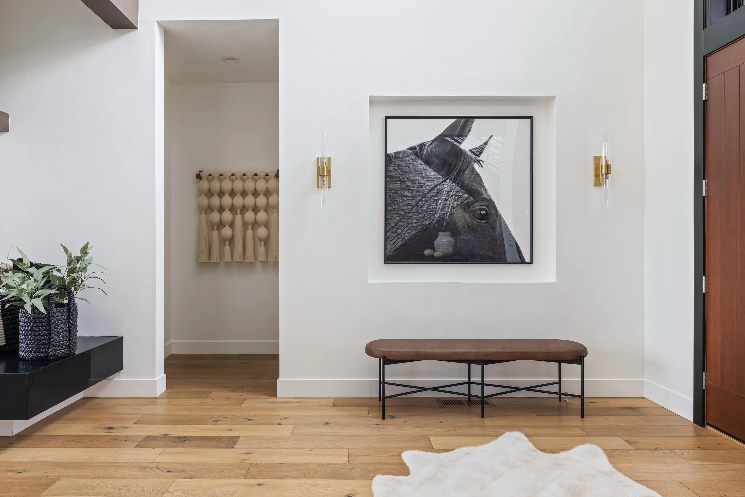 Introducing our Newsletter