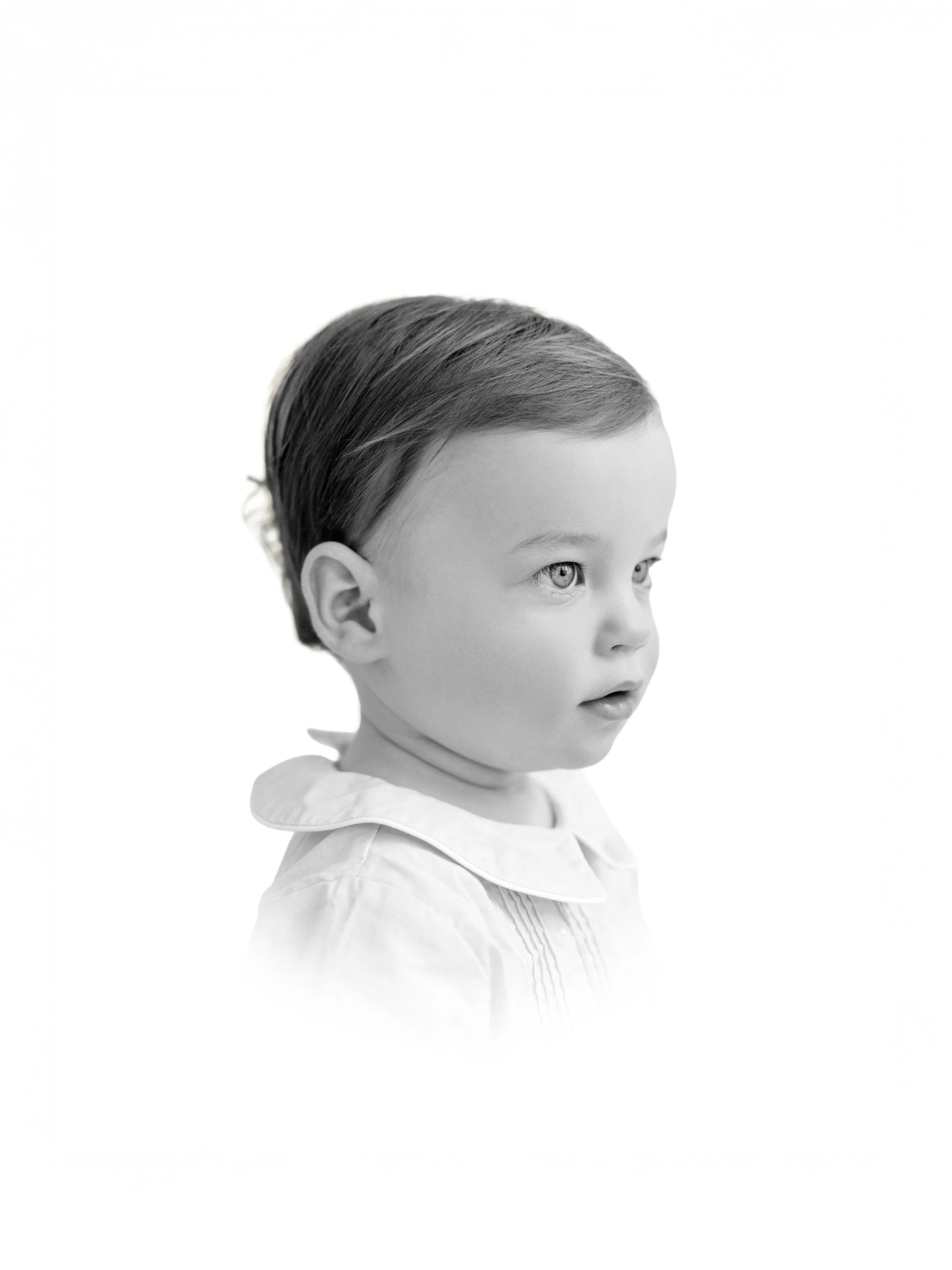 Jack_Heirlooms_2025_11sizebw.jpg