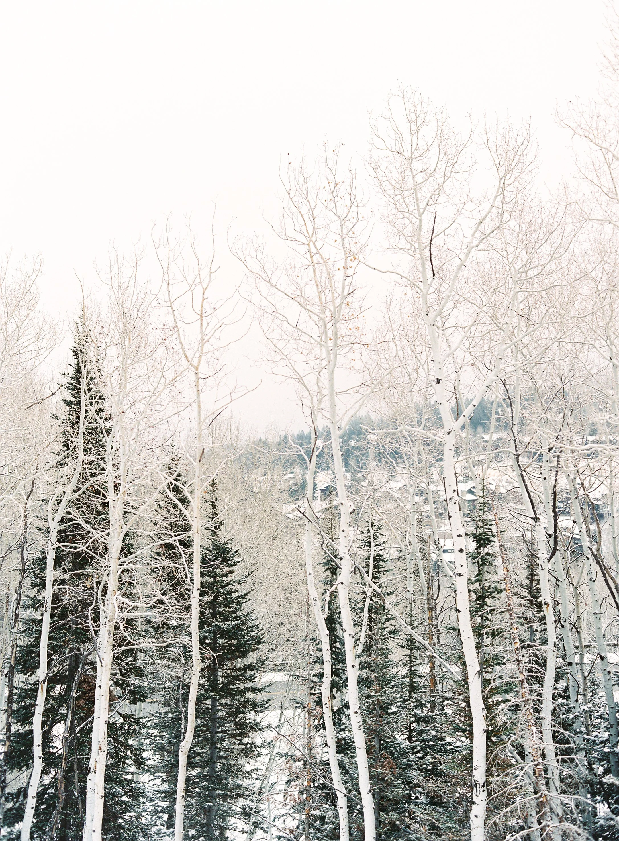 film-5.jpg