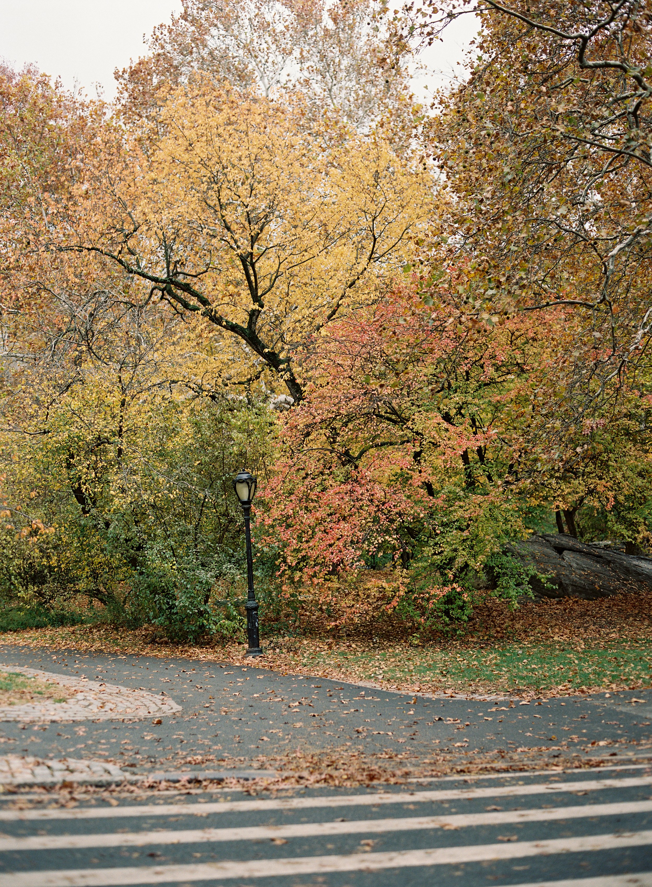  Fall in NYC in Central Park by Hannah Haston Photography 