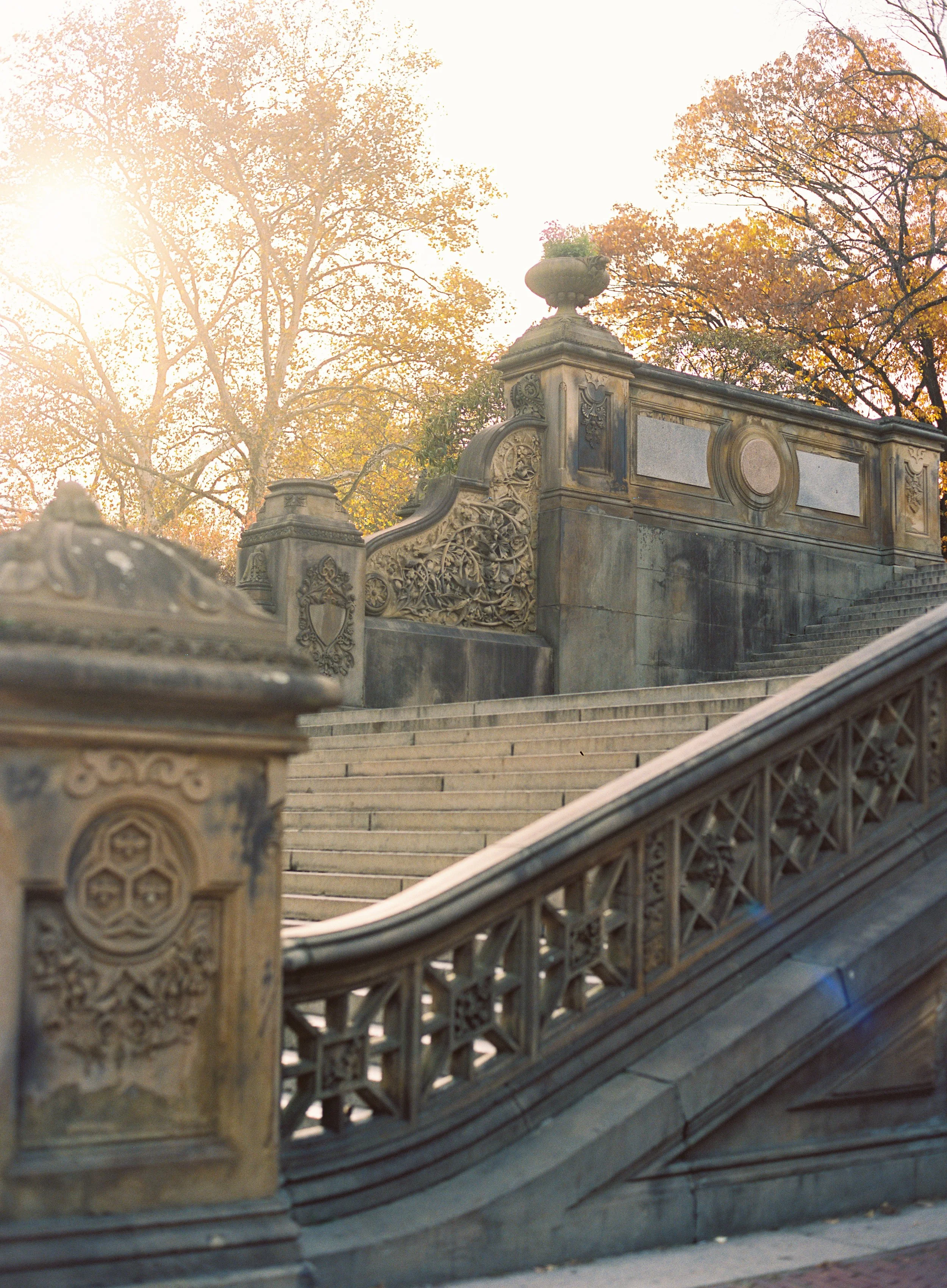  Fall in NYC in Central Park by Hannah Haston Photography 