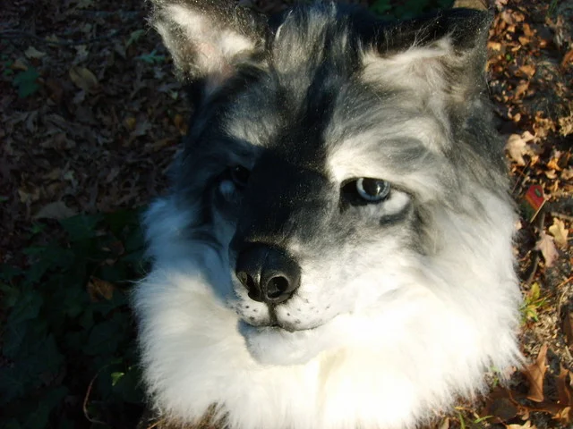 Masks and Full Fursuits_Zip Wolf_70.jpg