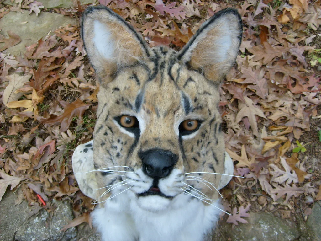 Masks and Full Fursuits_Timothy Serval_1032.jpg