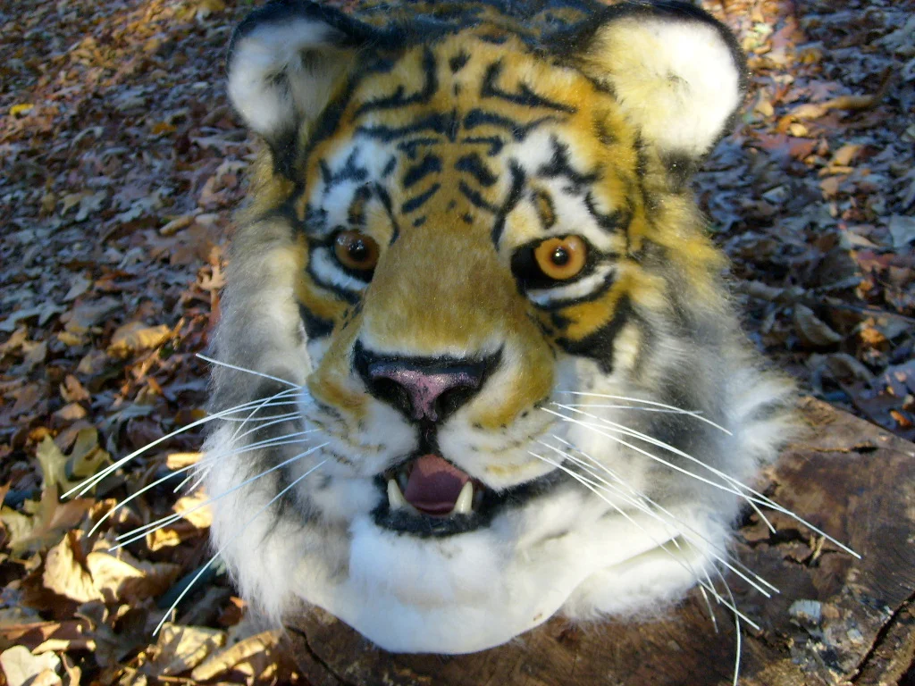 Masks and Full Fursuits_Stalking cat_1000.jpg