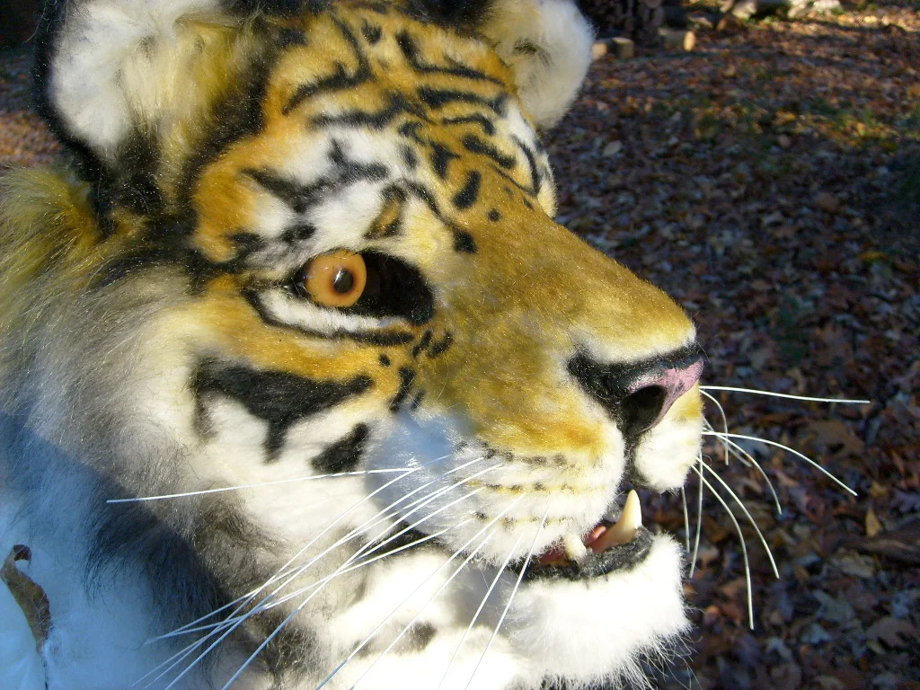Masks and Full Fursuits_Stalking cat_1004.jpg