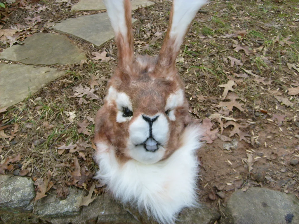 Masks and Full Fursuits_Jackrabbit _1042.jpg
