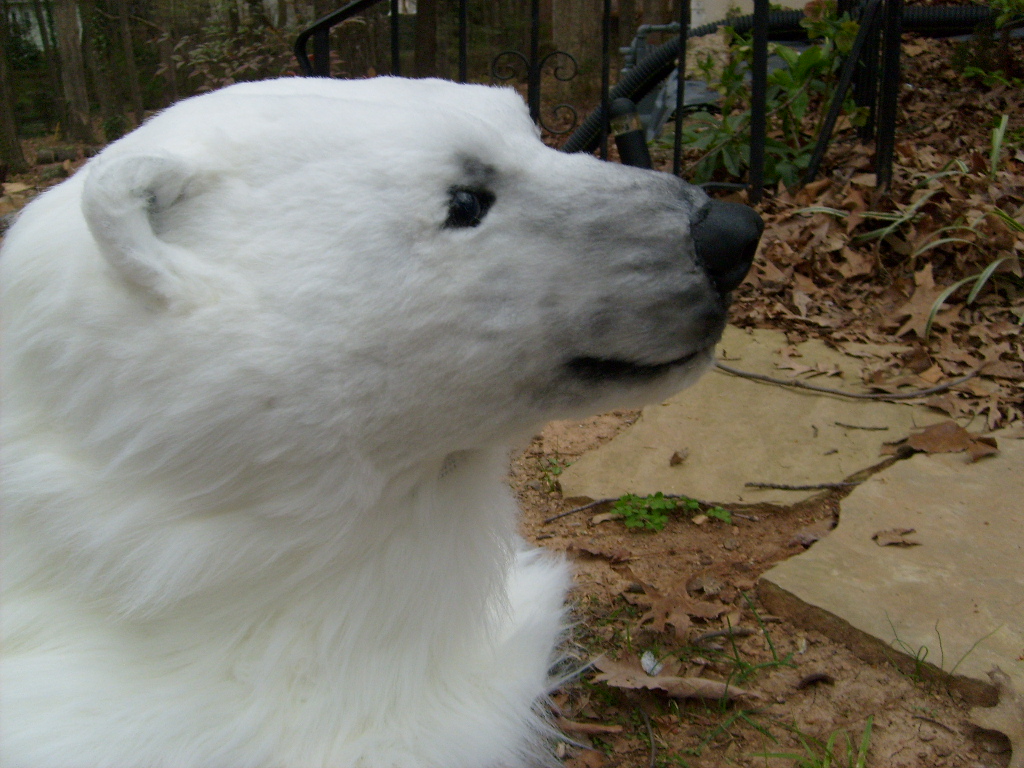 Masks and Full Fursuits_Aurora polar bear for Greenpeace_874.jpg