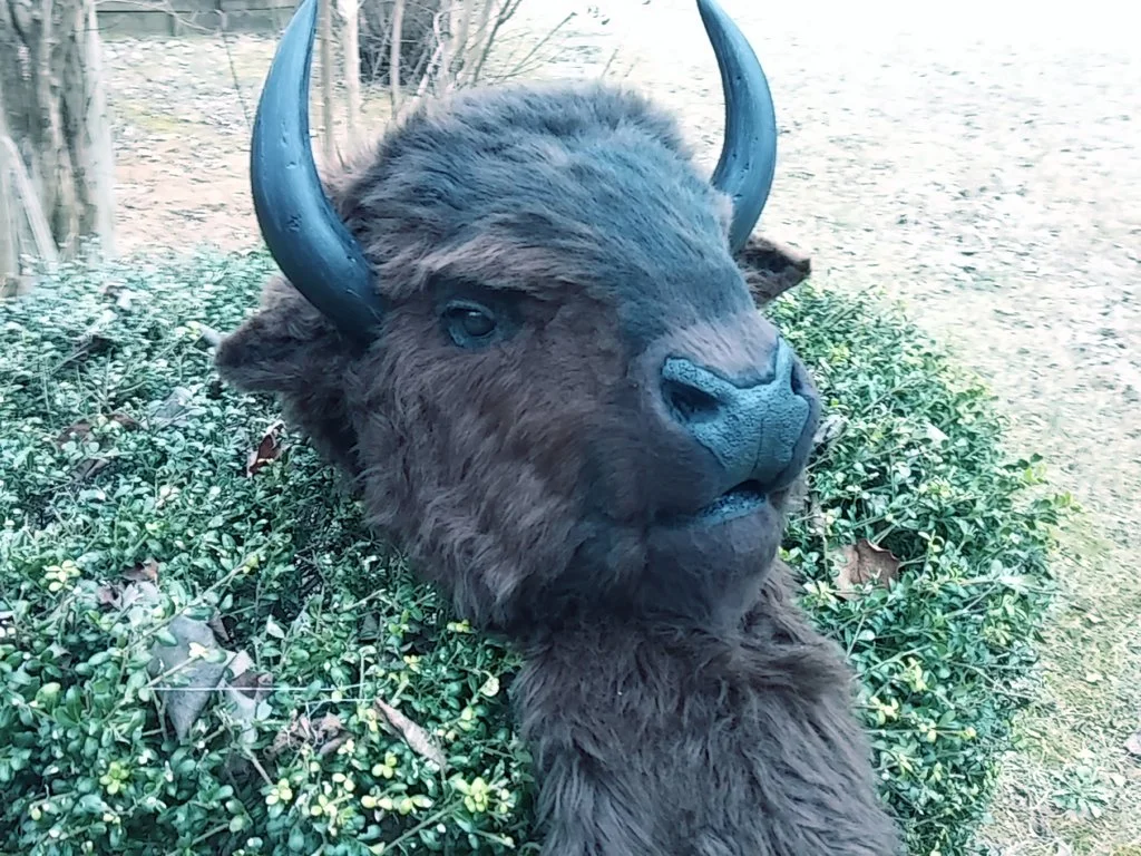 Masks and Full Fursuits_Newest bison _1068.jpg