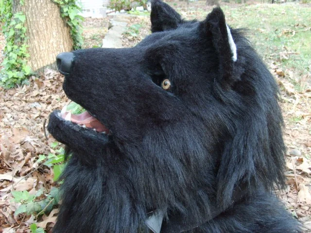 Masks and Full Fursuits_Special Black Wolf_354.jpg