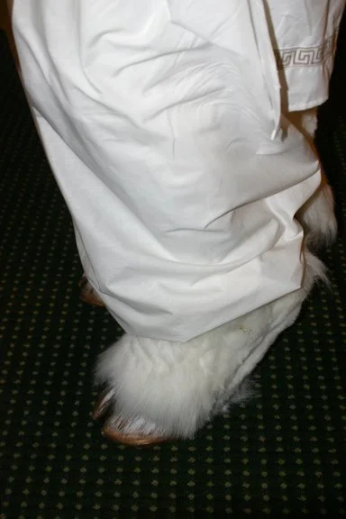 Masks and Full Fursuits_Kirin _940.jpg