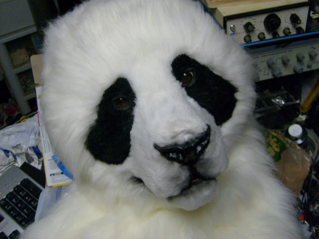 wastelander_panda_head__in_process__by_thundolis-d60dpoc.jpg