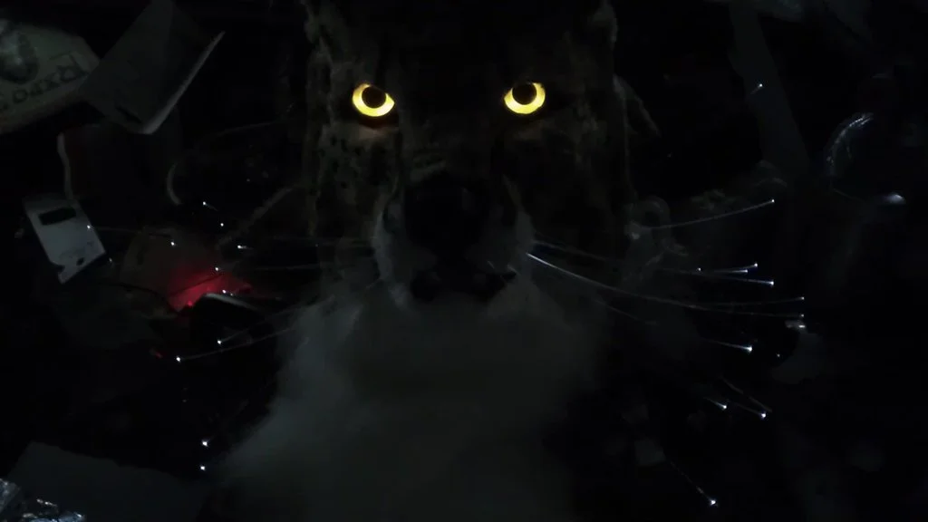 serval_glowing_eyes_whiskers_pic_2_by_thundolis-d61ahuc.jpg