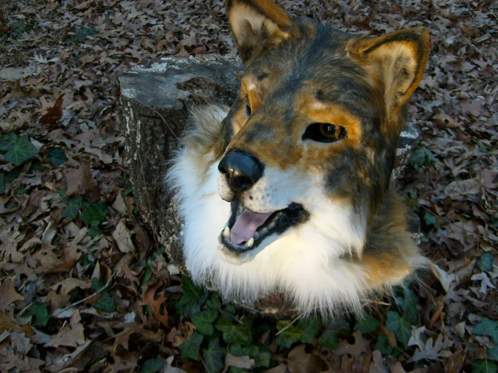 red_wolf_mask_by_thundolis-d60dq9w.jpg