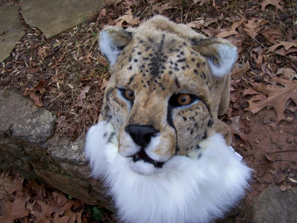 cheetah_mask_by_thundolis-d60dpx3.jpg