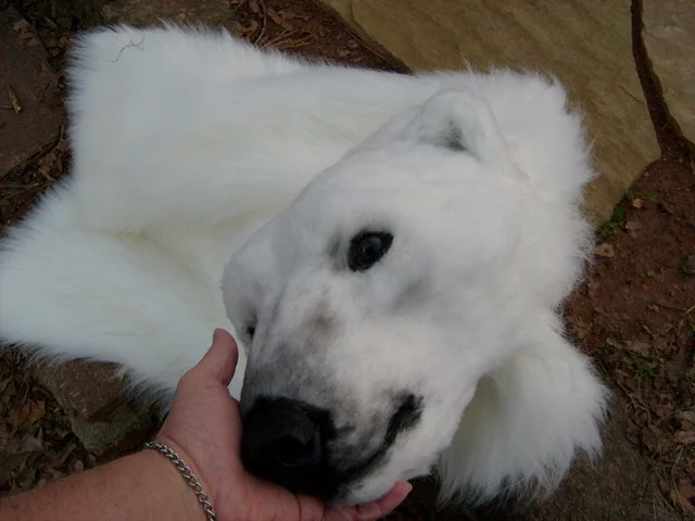 Masks and Full Fursuits_Greenpeace Frostsoul_633.jpg