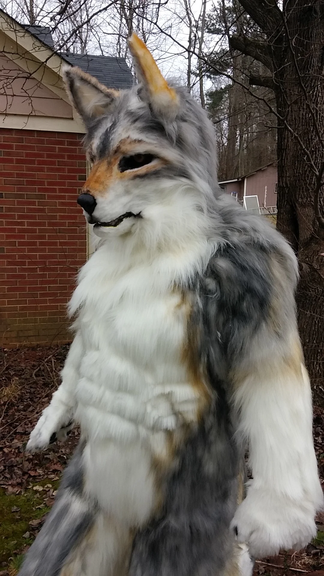 20160221_135307.jpg