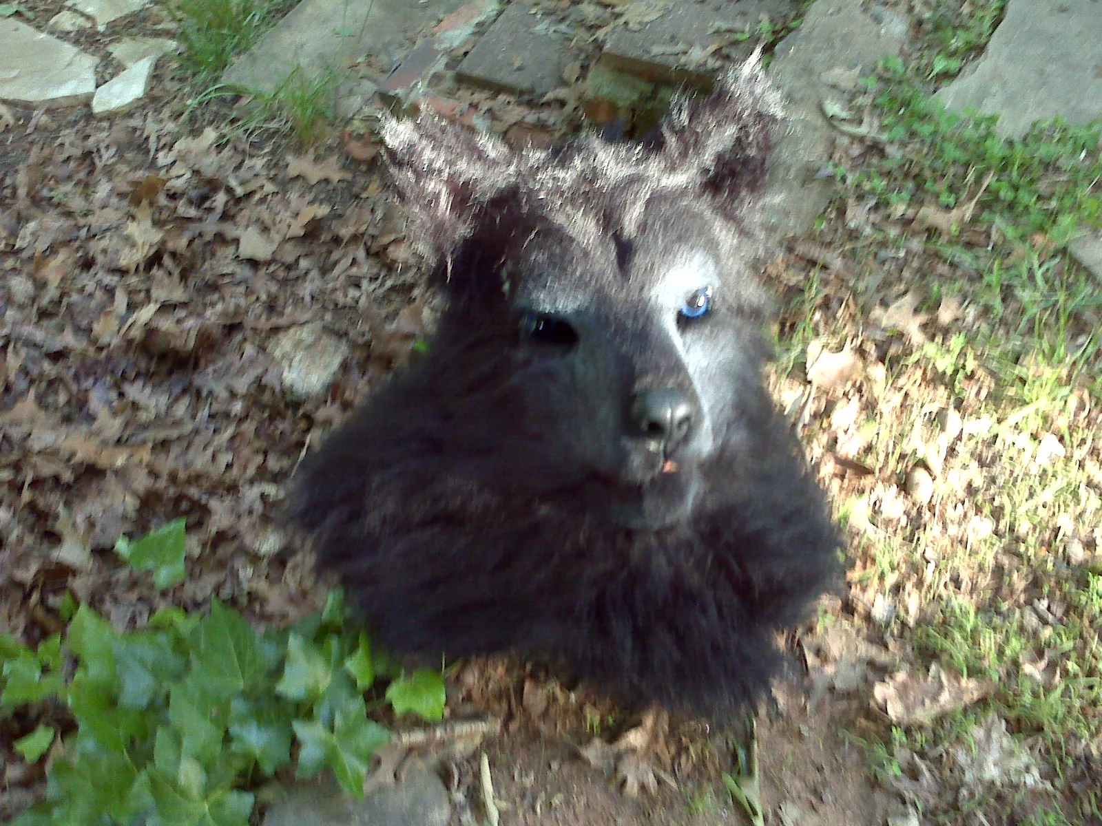 IMG00105.jpg