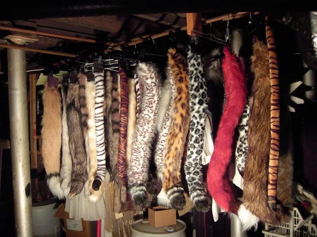 Ears and Tails_Assorted Tails_824.jpg