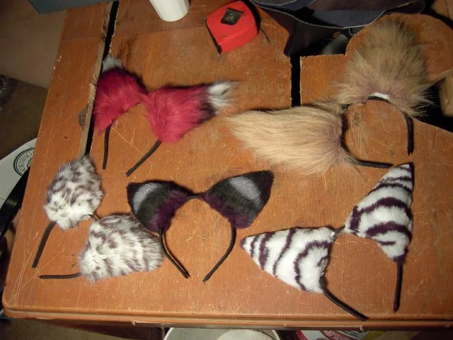 Ears and Tails_Assorted Ears_826.jpg