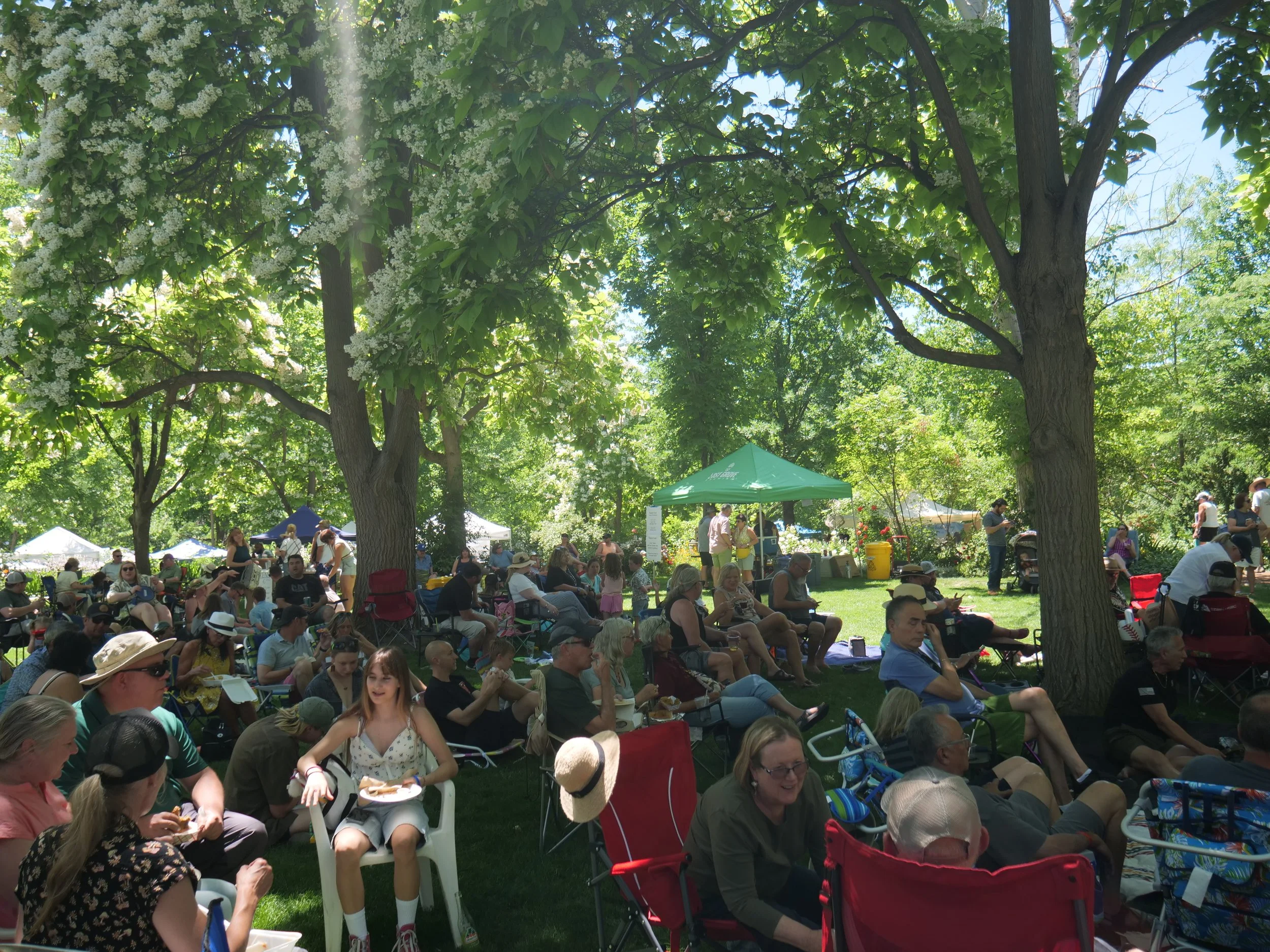 Reflections on Raptor Fest 2025