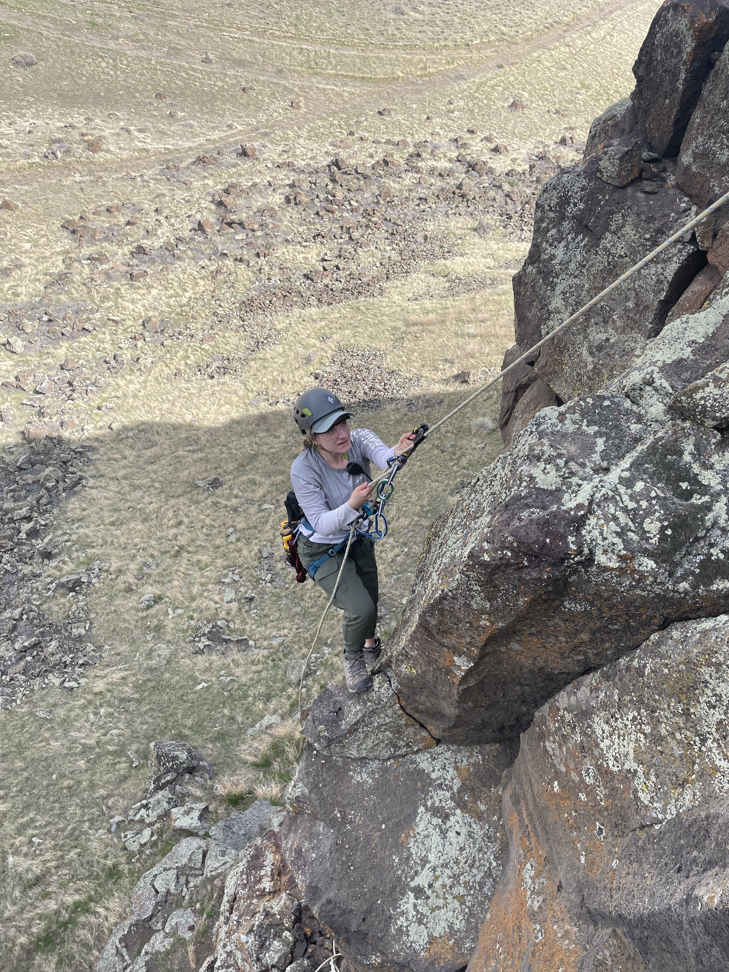 Inside Prairie Falcon Research: Zoe Bonerbo’s Work in the NCA