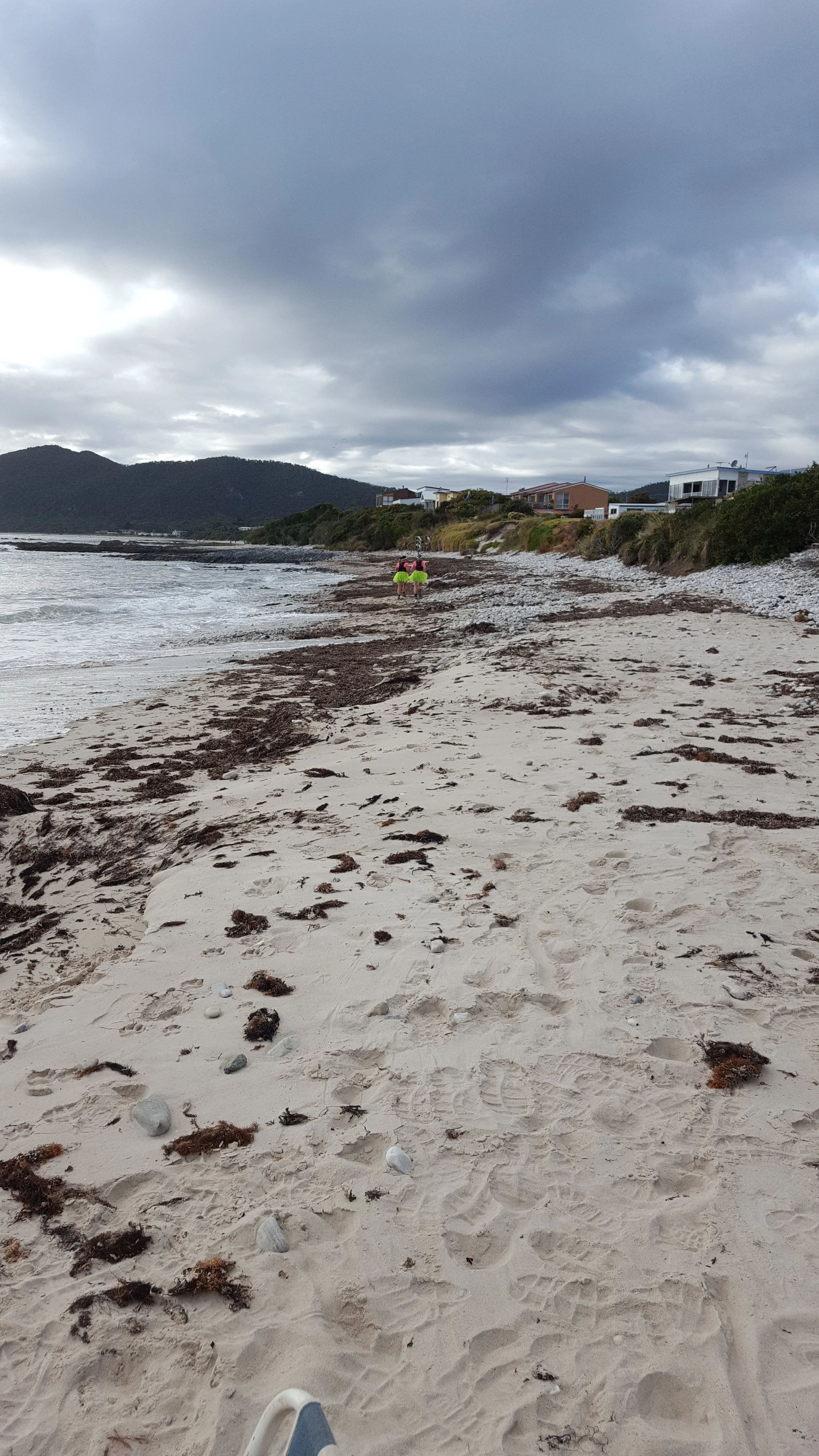 tutus on sisters beach.jpg