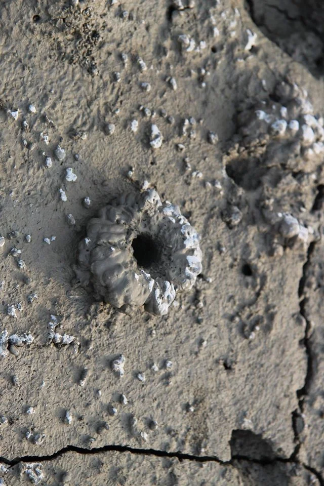 Dandong mudholes