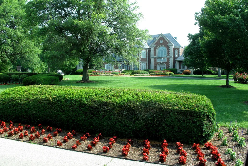 beautiful-house.jpg