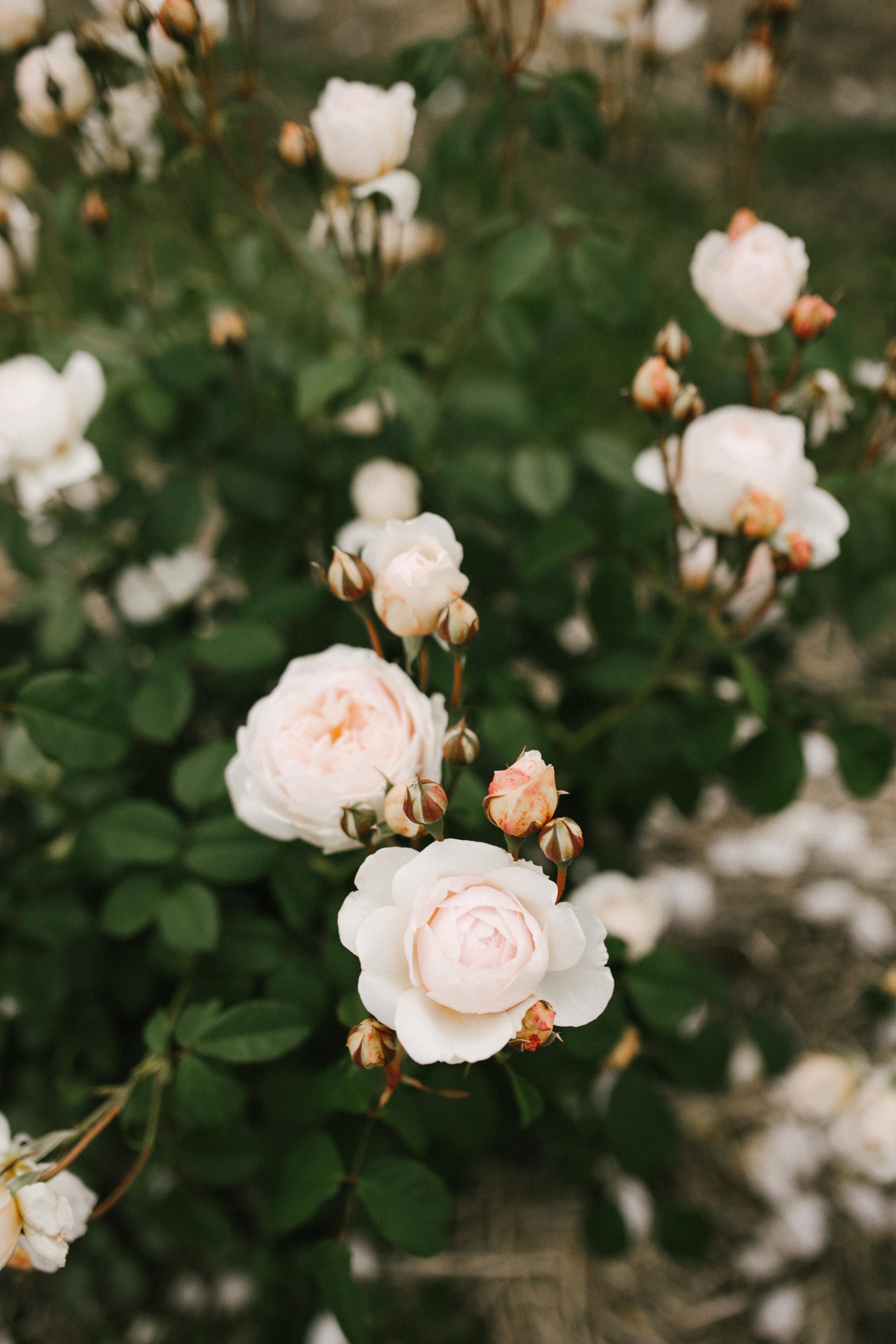 COLLECTED l WORKSHOP-27.jpg