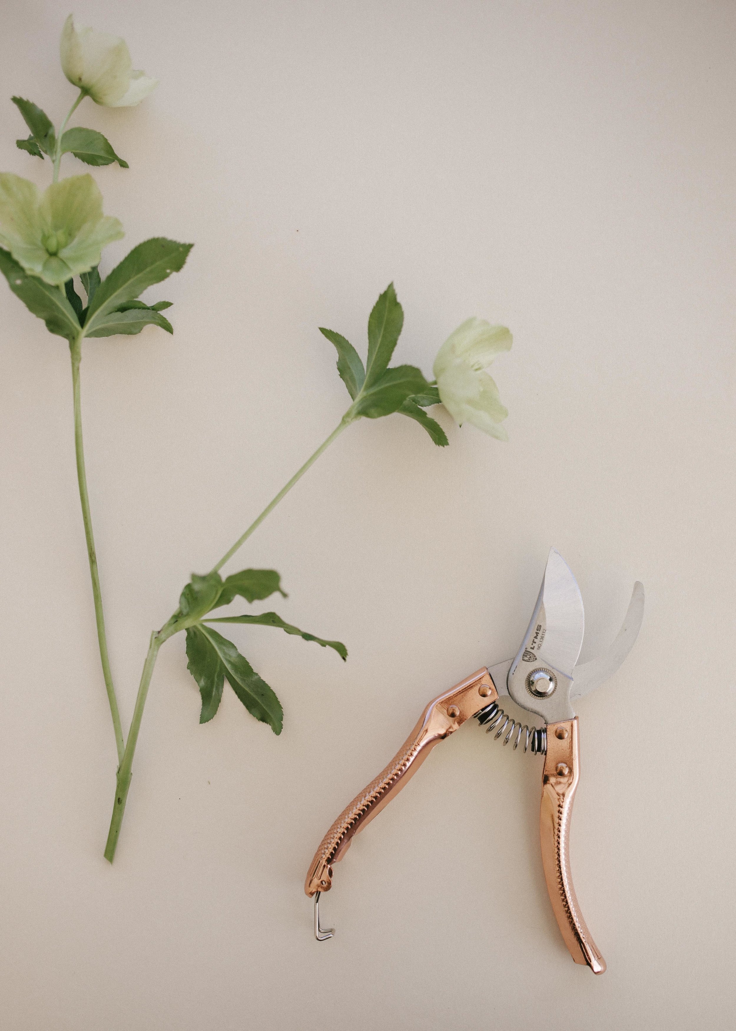 COLLECTED l WORKSHOP-161.jpg