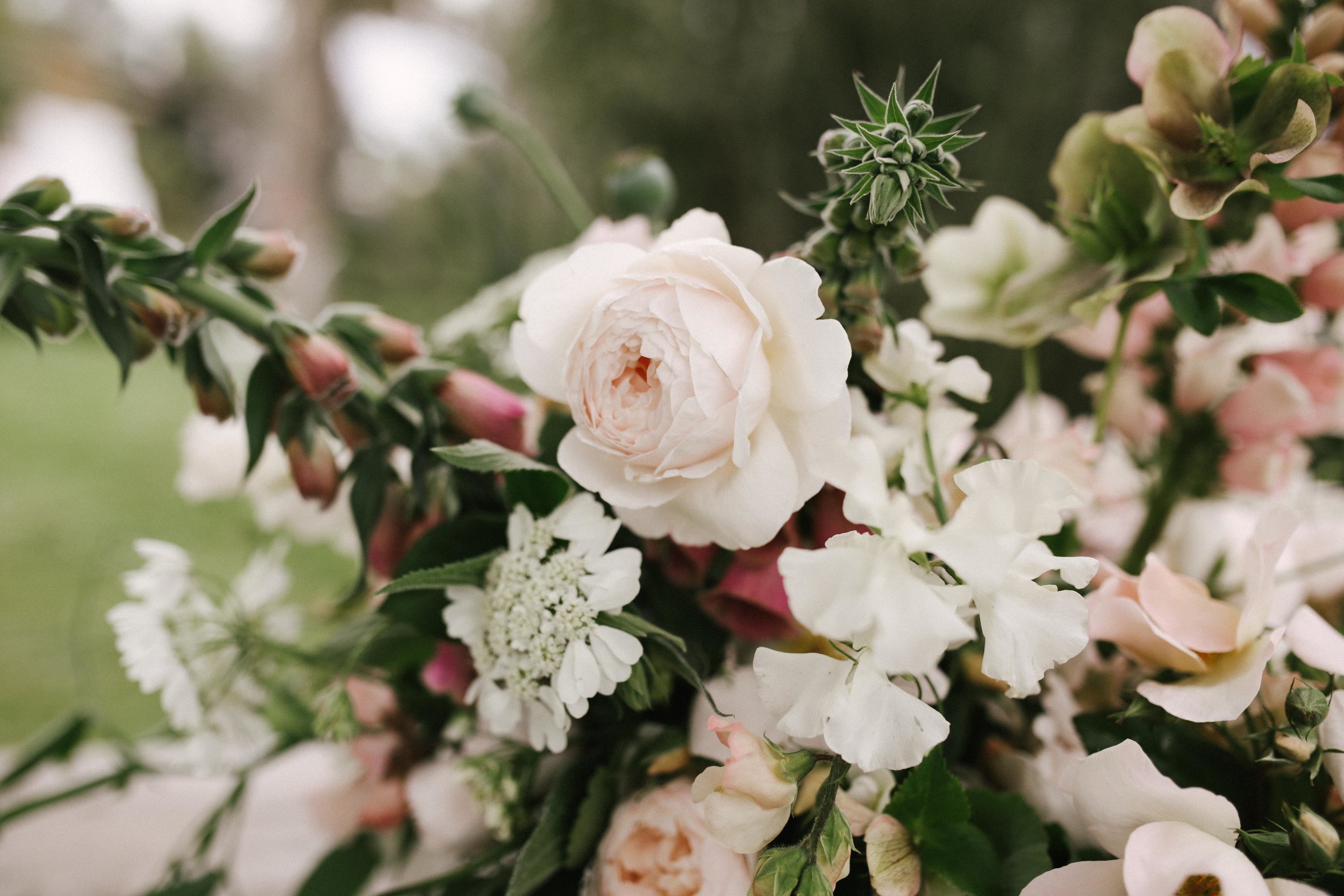 COLLECTED l WORKSHOP-407.jpg