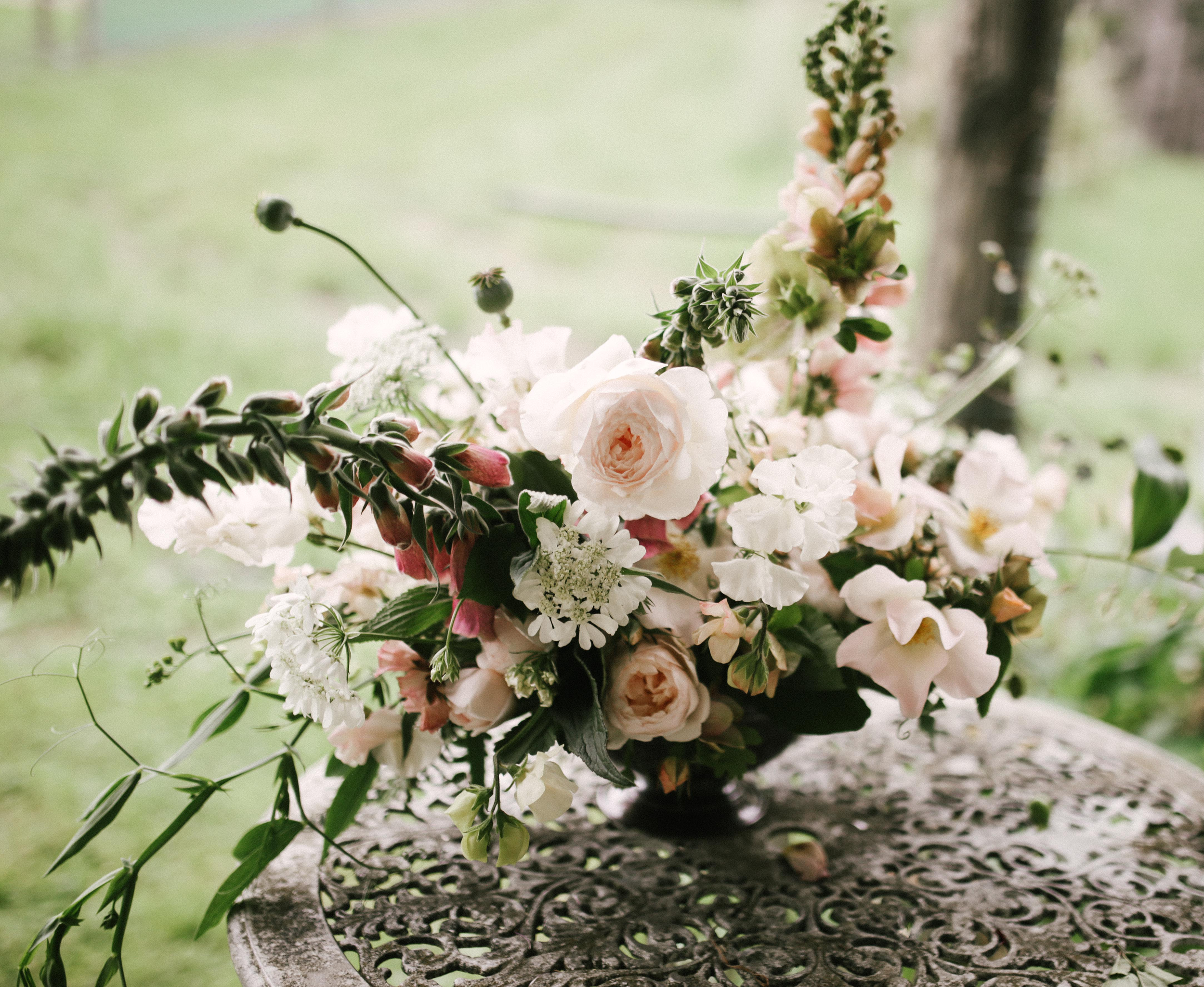 COLLECTED web pic.png