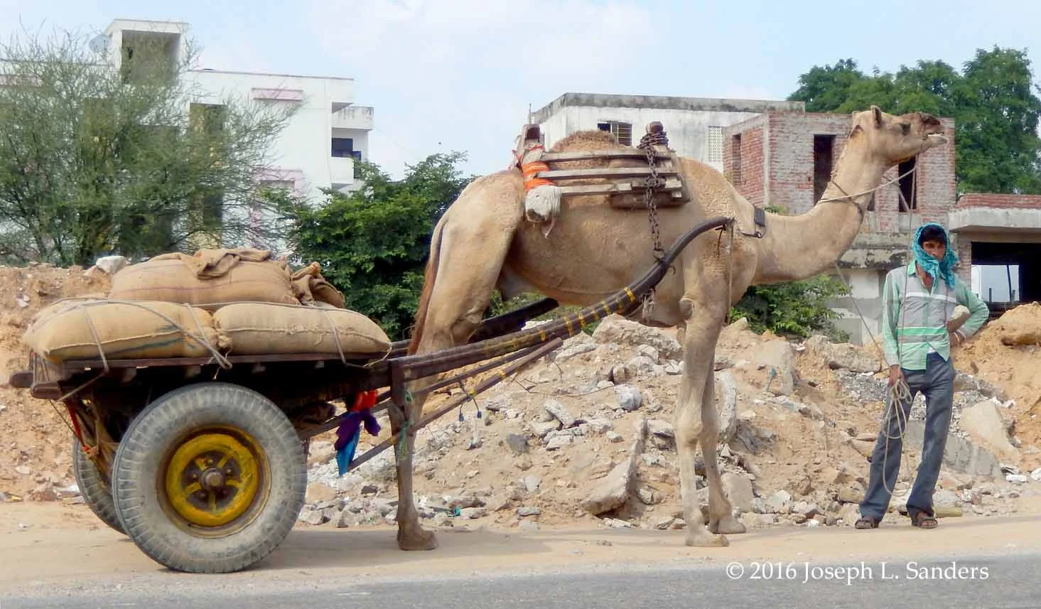 Man with Camel - Jaipur - Rajasthan1.jpg
