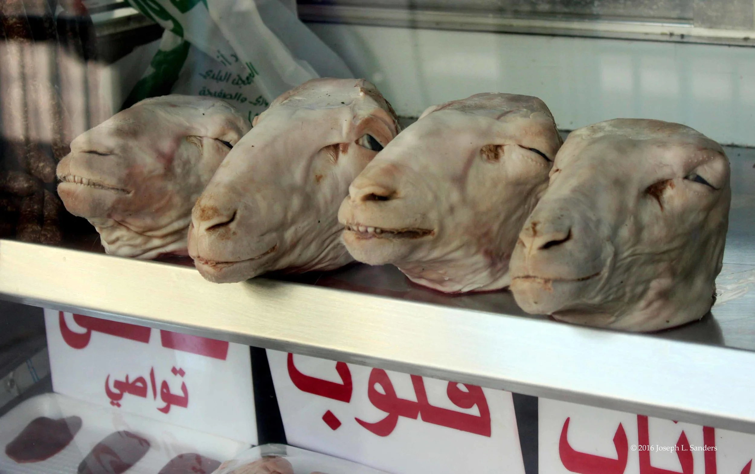 Sheep's Heads in Butcher Shop - Karak - Jordan12.jpg