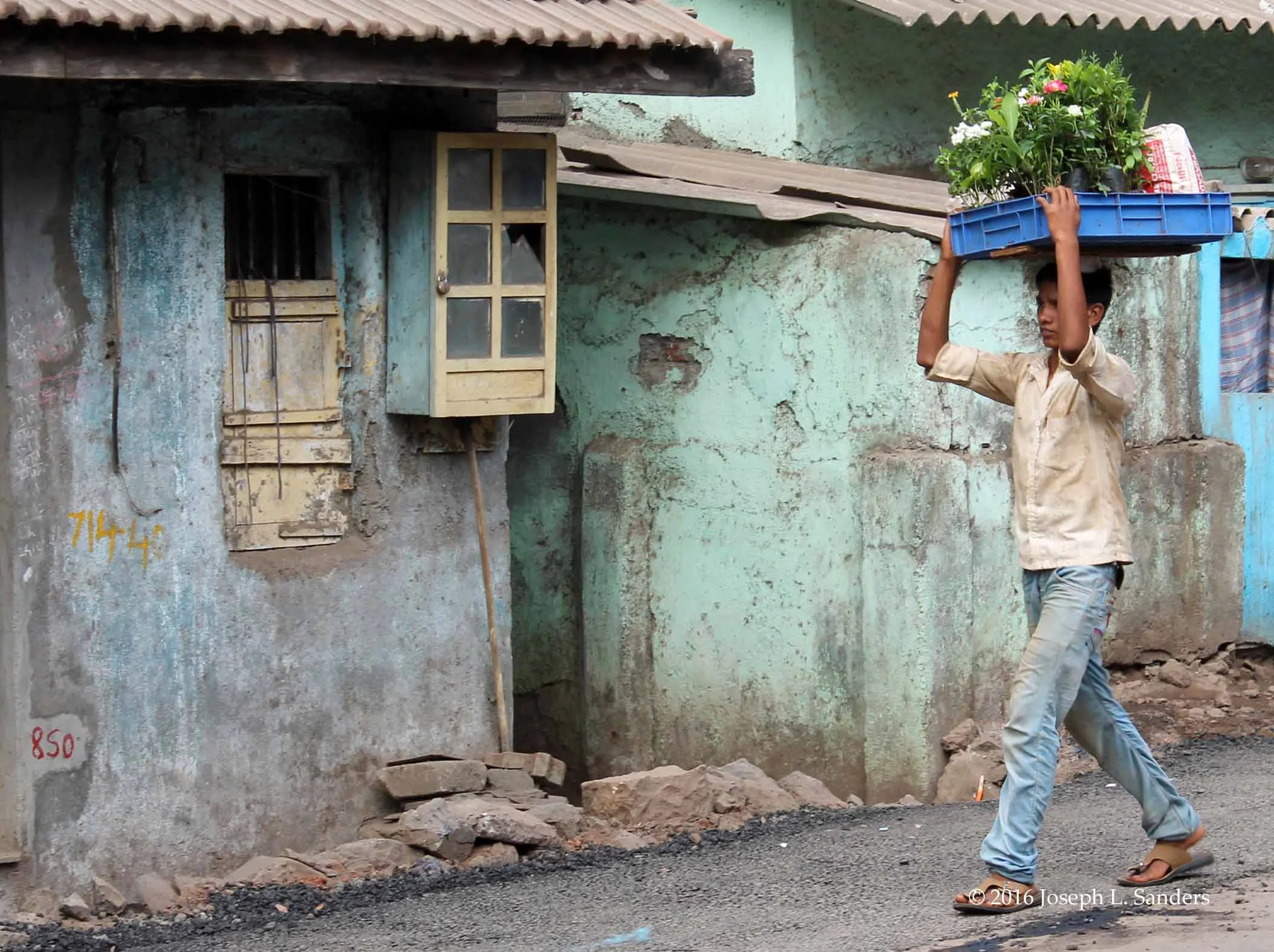 Man Carrying Flowers - Chunabhatti7.jpg