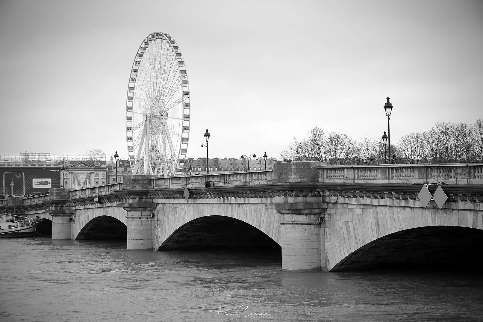 709A8876 copy.jpg
